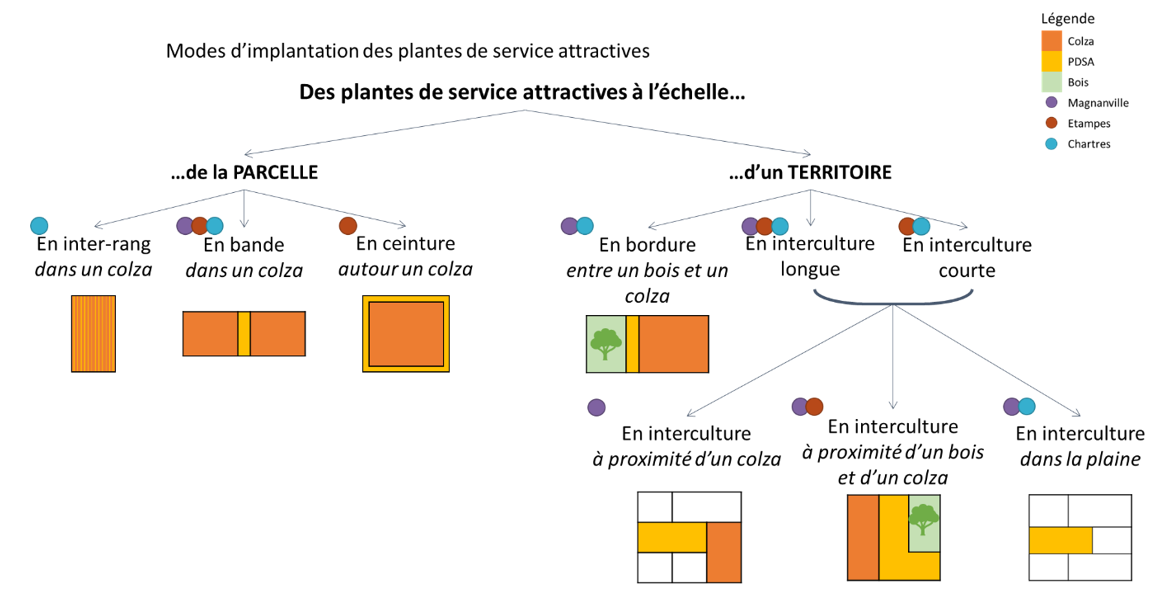 CtrlAlt fig 2