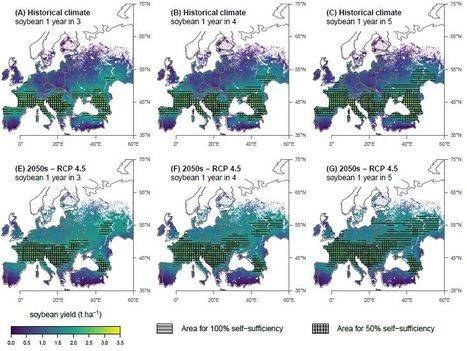 Cartes de projection du rendement en soja