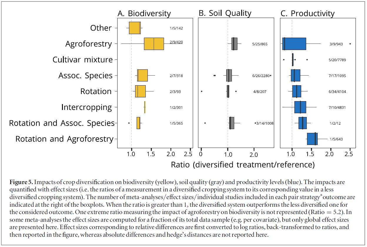 Impacts de la diversification des cultures sur la biodiversité, la qualité du sol, et les rendements