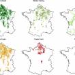 Distribution spatiale des parcelles suivies (blé d'hiver, orge d'hiver, maïs, colza, betterave à sucre et pomme de terre)