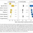 Impacts de la diversification des cultures sur la biodiversité, la qualité du sol, et les rendements