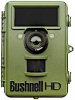 Bushnell